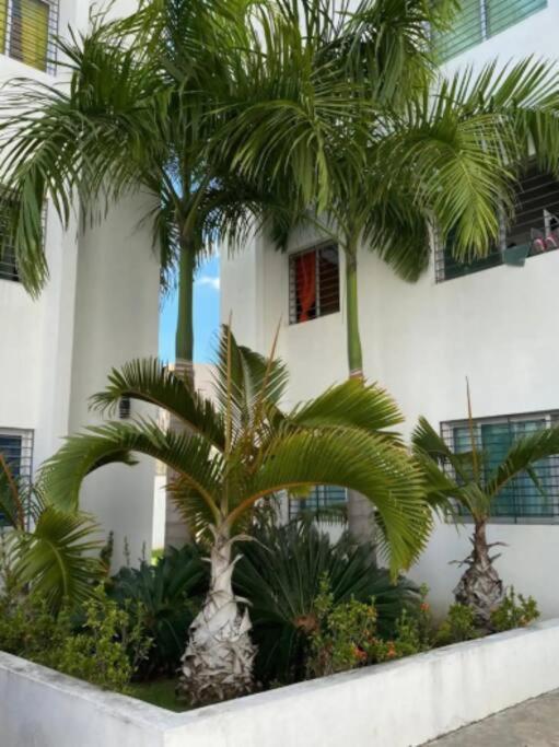 Comodas 3 Hab Con Piscina, Wifi 1Er Nivel Santiago De Los Caballeros Kültér fotó